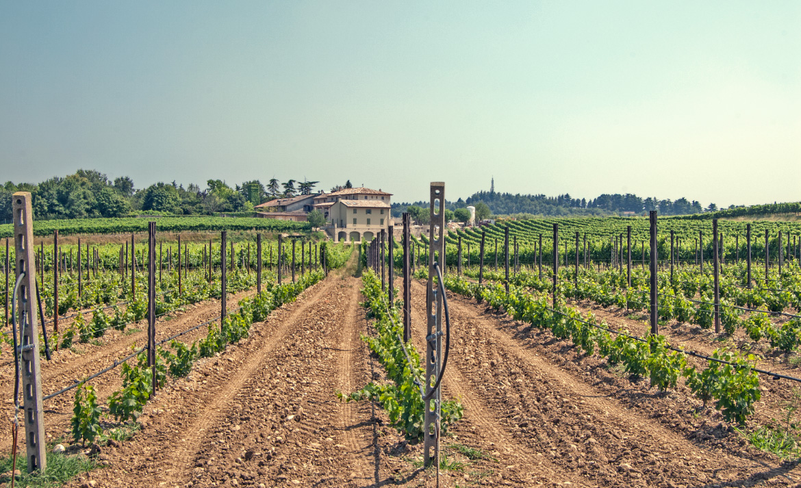 Progettazione e realizzazione di una casa in legno a Cavriana in provincia di Mantova 